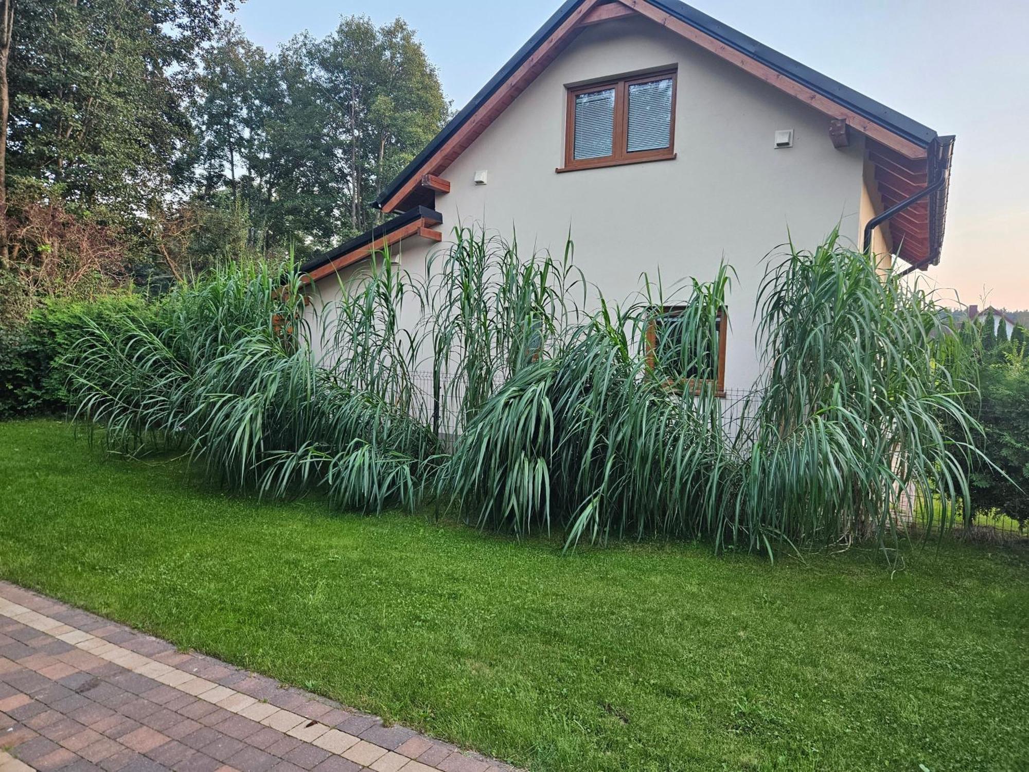 Osada Cztery Pory Roku - Dom Jesien Villa Kopalino Exterior photo